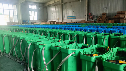 墨玉鄉(xiāng)村工廠成為鄉(xiāng)村振興&ldquo;新引擎&rdquo;